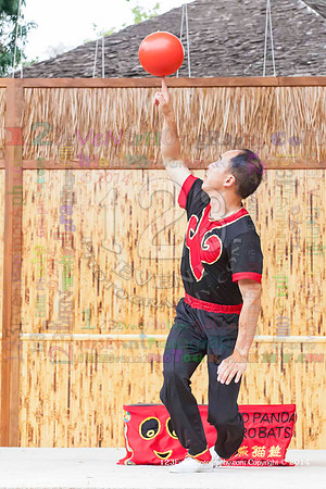 2014 Red Panda Acrobats @ The San Diego Zoo Safari Park
