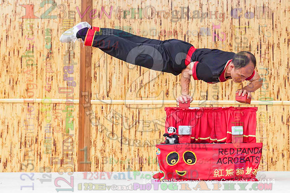 2014 Red Panda Acrobats @ The San Diego Zoo Safari Park