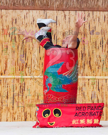 2014 Red Panda Acrobats @ The San Diego Zoo Safari Park