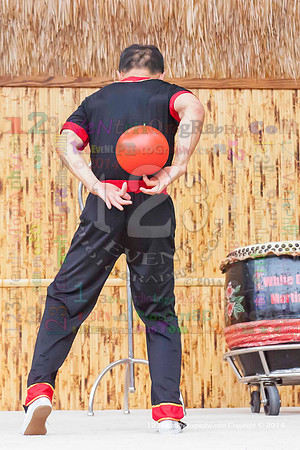 2014 Red Panda Acrobats @ The San Diego Zoo Safari Park