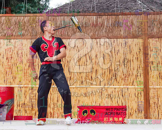 2014 Red Panda Acrobats @ The San Diego Zoo Safari Park