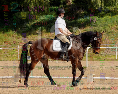 International Equestrian Center 2-13-11