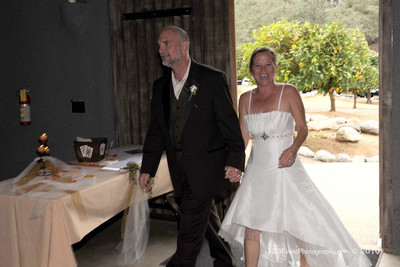 2010 Ken & Lisa's Wedding Reception