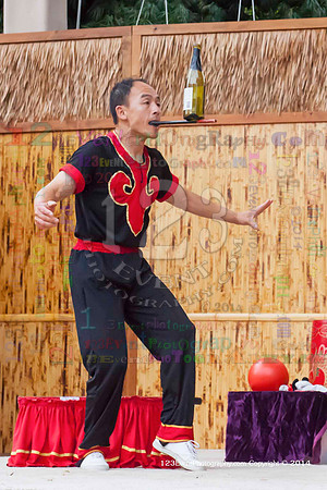 2014 Red Panda Acrobats @ The San Diego Zoo Safari Park