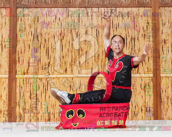 2014 Red Panda Acrobats @ The San Diego Zoo Safari Park