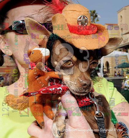 16th Annual Ugly Dog Contest - Del Mar Kiwanis Club