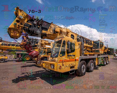 Brewer Crane & Rigging 3 Cranes