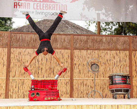2014 Red Panda Acrobats