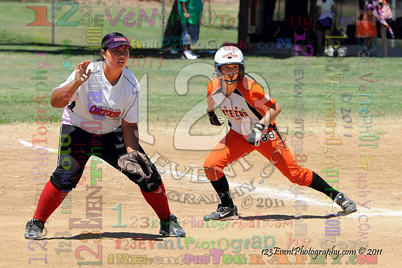 2011 Softball State Games of America