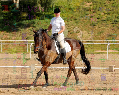 International Equestrian Center 2-13-11
