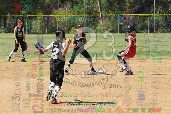 2011 Softball State Games of America