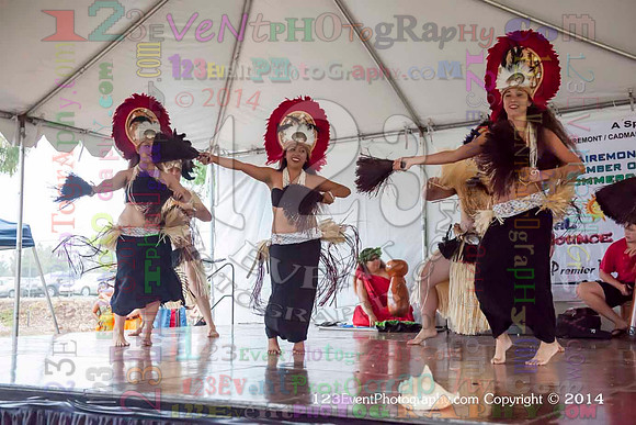 2014 Healii's Polynesian Review @ Clairemont Family Day