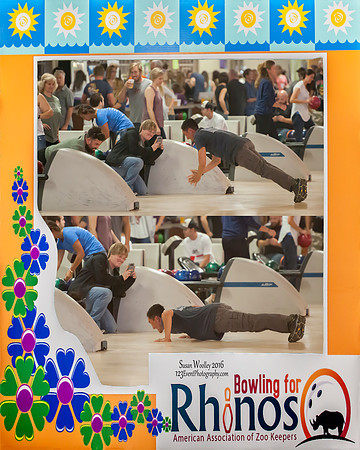 2016-06-11 Bowling For Rhinos - San Diego Zoo Safari Park