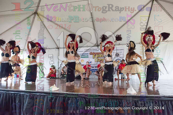 2014 Healii's Polynesian Review @ Clairemont Family Day