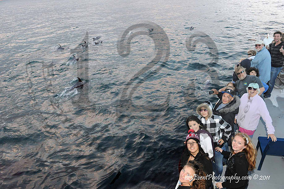 123's San Diego Whale Watch Adventures