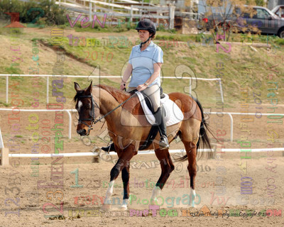 International Equestrian Center 2-13-11