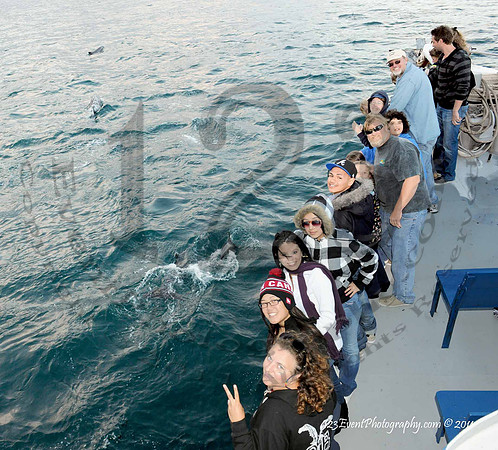 123's San Diego Whale Watch Adventures