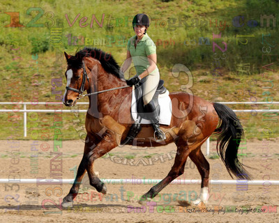 International Equestrian Center 2-13-11