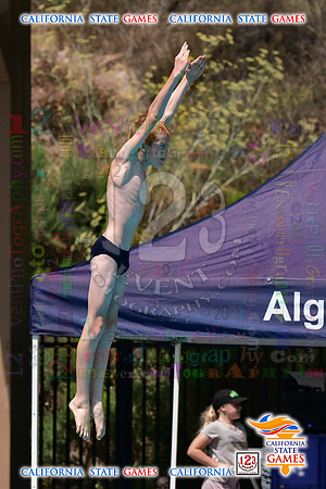 2021-07-17 BOYS & CO-ED Diving CA State Games