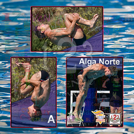 2021-07-17 BOYS & CO-ED Diving CA State Games