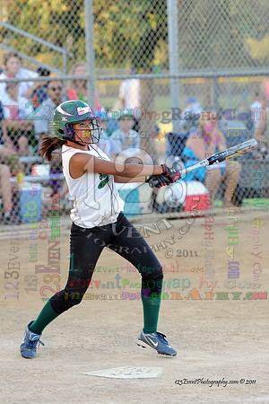 2011 Softball State Games of America