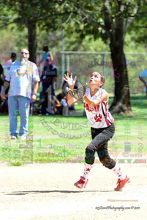 2011 Softball State Games of America