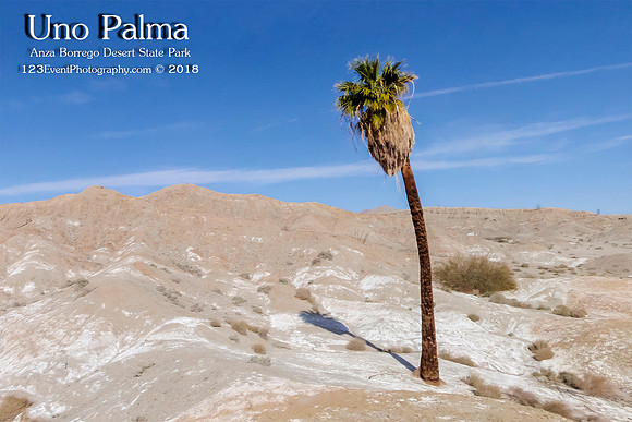 Uno Palma in Anza Borrego Desert State Park