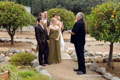 2010 Ken & Lisa's Wedding Reception