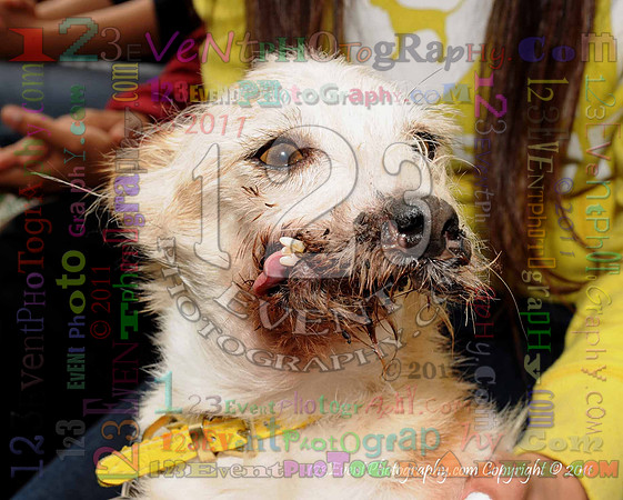 16th Annual Ugly Dog Contest - Del Mar Kiwanis Club