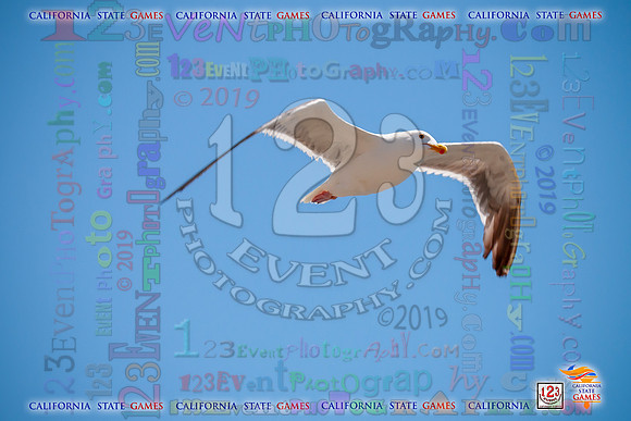 2019-07-11 JR Lifeguards