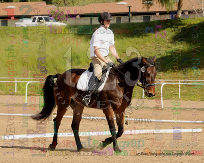 International Equestrian Center 2-13-11