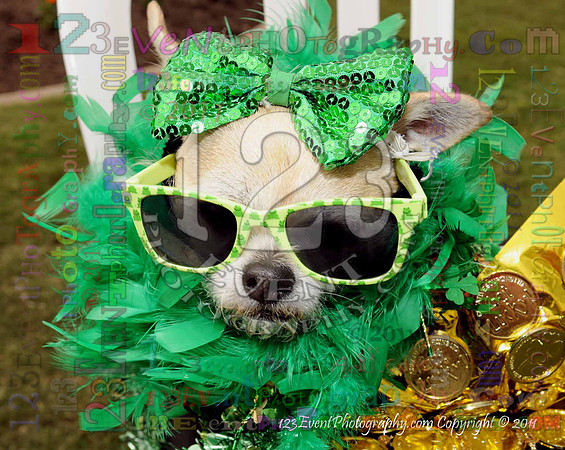 16th Annual Ugly Dog Contest - Del Mar Kiwanis Club