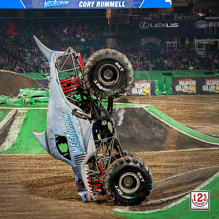 2020-01-25 MONSTER JAM® Anaheim #2
