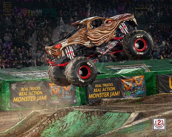 2020-01-25 MONSTER JAM® Anaheim #2