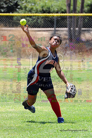 2011 Softball State Games of America