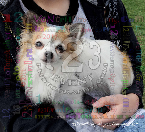 16th Annual Ugly Dog Contest - Del Mar Kiwanis Club