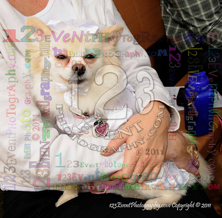 16th Annual Ugly Dog Contest - Del Mar Kiwanis Club