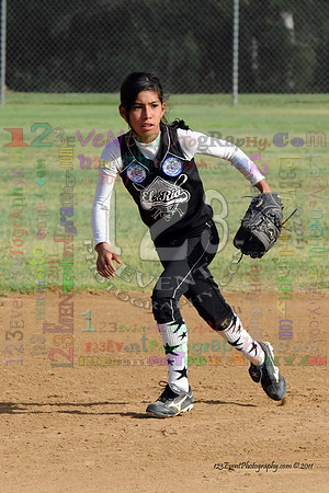 2011 Softball State Games of America