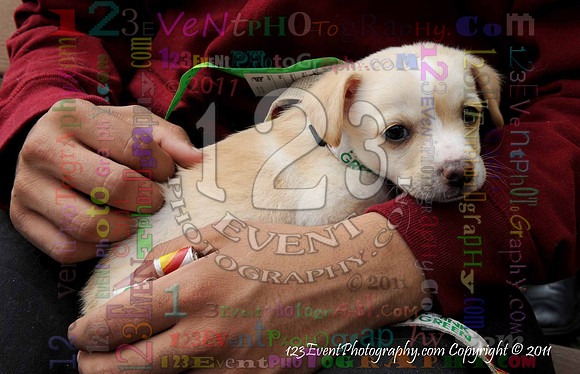 16th Annual Ugly Dog Contest - Del Mar Kiwanis Club