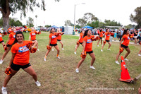 2014 Clairemont High Cheer Squad at Clairemont Family Day