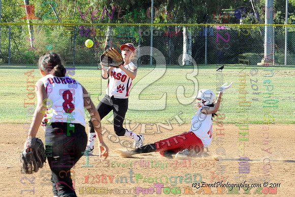 2011 Softball State Games of America