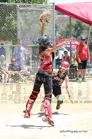 2011 Softball State Games of America