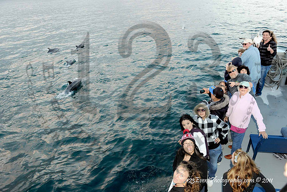 123's San Diego Whale Watch Adventures