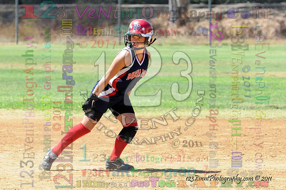 2011 Softball State Games of America