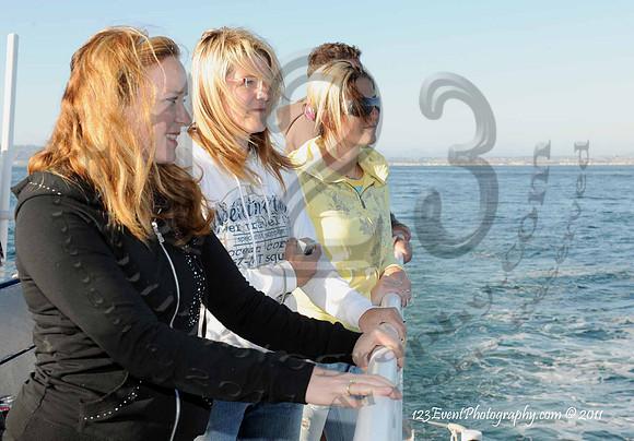123's San Diego Whale Watch Adventures