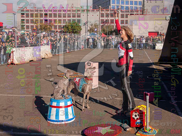 2015-01-31 MONSTER JAM® @ Petco Park, San Diego, CA