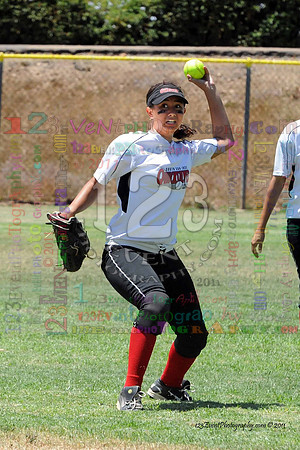2011 Softball State Games of America