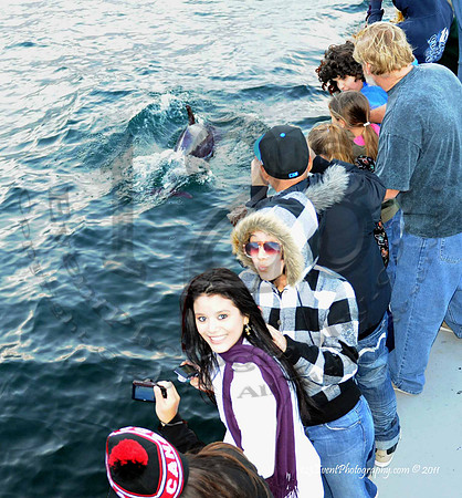 123's San Diego Whale Watch Adventures