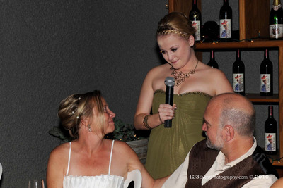 2010 Ken & Lisa's Wedding Reception