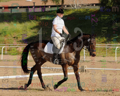International Equestrian Center 2-13-11